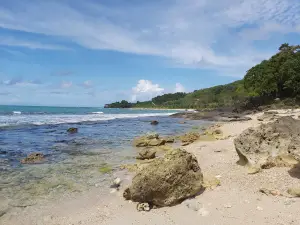 Blackcliff Batuhideung