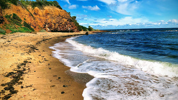Half Moon Bay Beach
