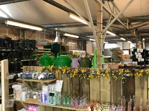 Groves Nurseries