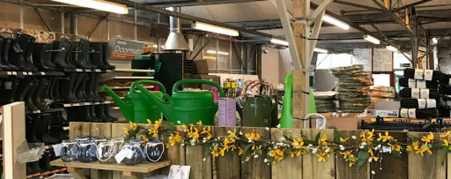 Groves Nurseries
