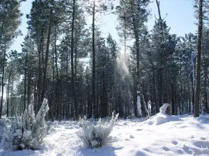 Fonte Coberta dolmen