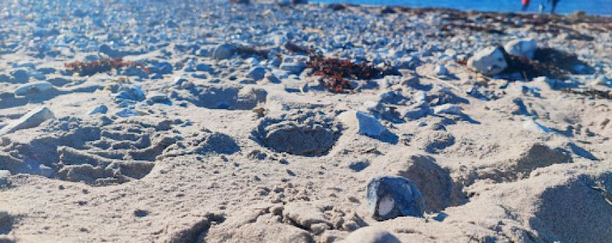 Margereteberg strand