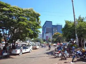 Rotonda Oasis