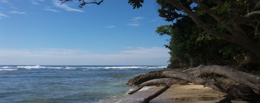 Taman Wisata Alam Way Hawang