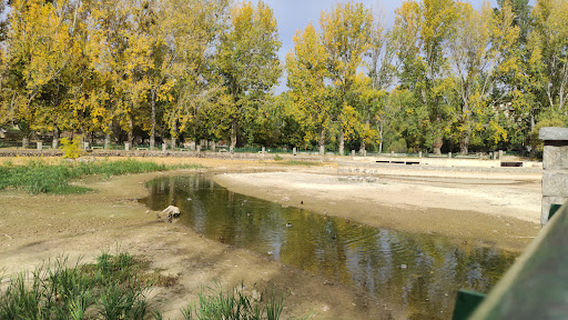 IFRANE LAC