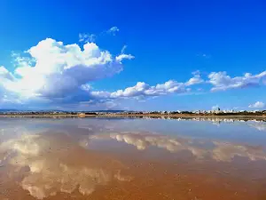 Salt Lake View Point