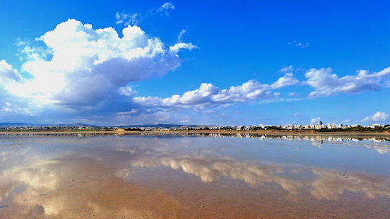 Salt Lake View Point