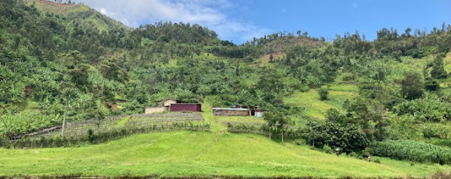 ImuHira Camp&CBT