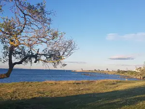 Hawkes Bay Holiday Park