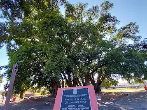 Praça da Figueira