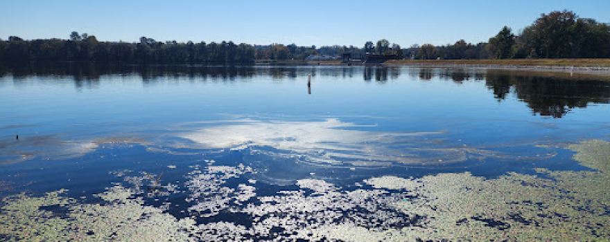 Langley Pond Park