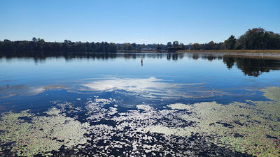 Langley Pond Park