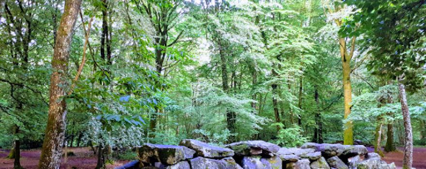 Allée couverte de Tressé, dite la roche aux feins ou fées