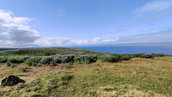 Husavik Viewpoint Parking