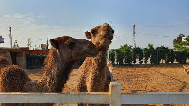 X-plore Adventure Park