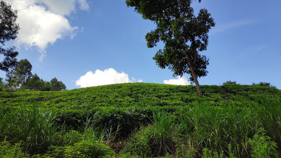 KIBATHITHI waterfall