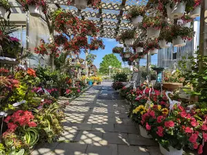 Williams Market