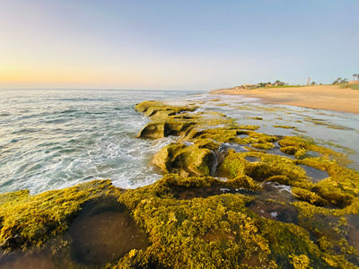 Chilaw Beach Park