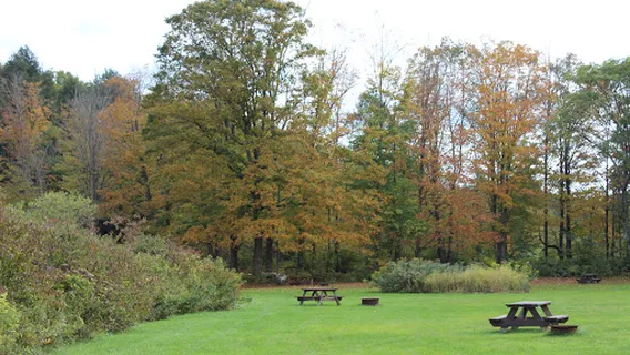 Stratton Falls Campsite