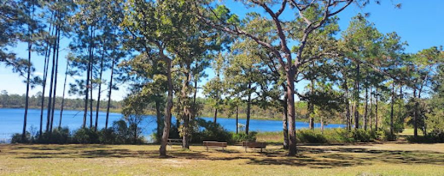 Camel Lake Campground