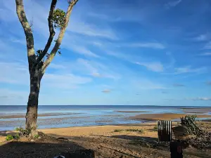 Carmila Beachfront Camp