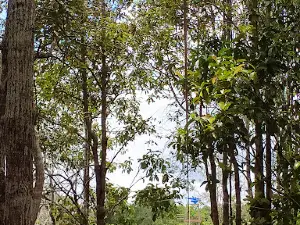 Wisata Alam Tebisaq