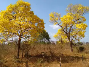 Lagoa da Confusão
