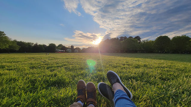 Spring Forest Road Park