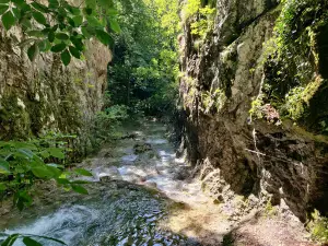 Cascada Şuşara