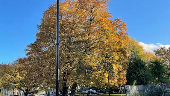 Stanhope Park