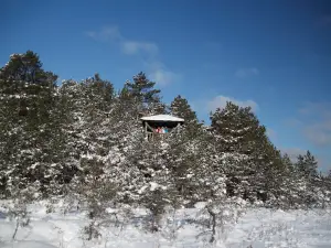 Valgejärve vaatetorn