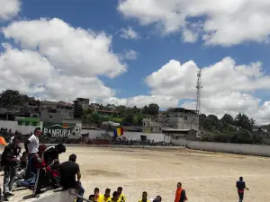 Estadio