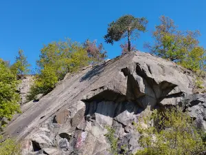 tin mountain