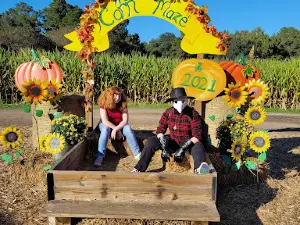 West Farm Corn Maze