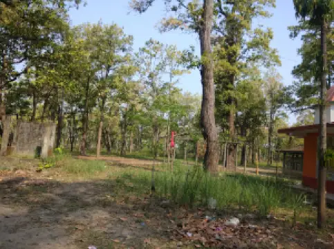 कोइलाभार माई मन्दिर ( Koilabhar Mai Temple)