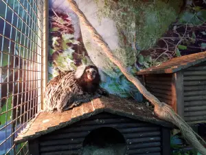 Zoolandiya