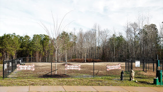 Scottie Yard Dog Park