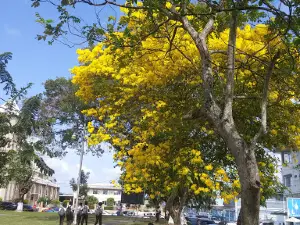 Santa Rosa R.C. Church Park