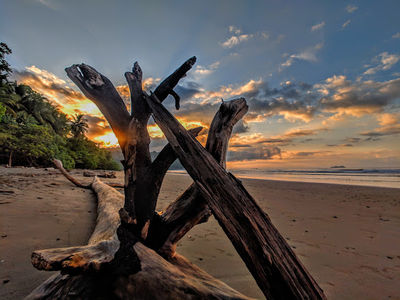 Playa Chaman