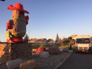 Pinto Macbean: World’s Largest Pinto Bean