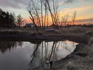 Uncle B's Farm & Hip Camp