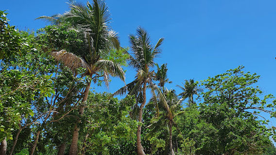 El Tzino Beach Resort