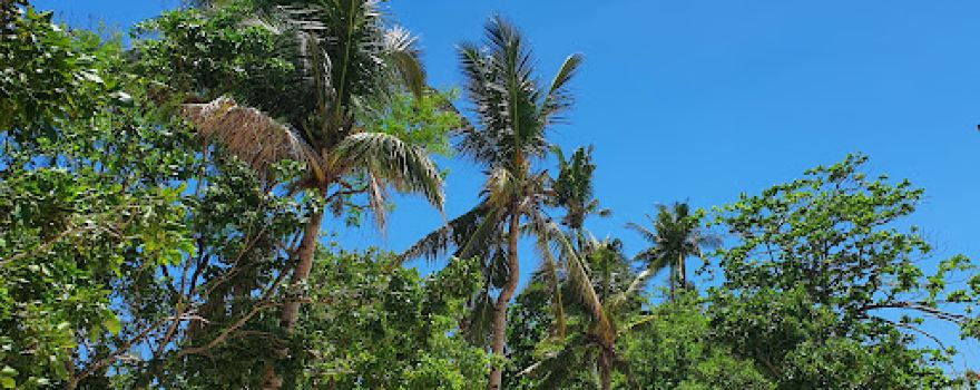 El Tzino Beach Resort