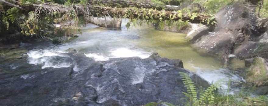 Misland Pemandian sp3 pir