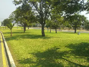 Campo Polivalente