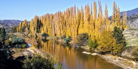 Tharwa Bridge Reserve