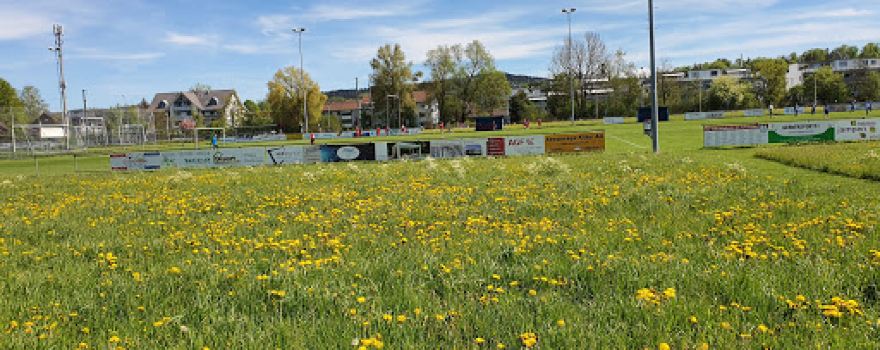 Fussballclub Fehraltorf