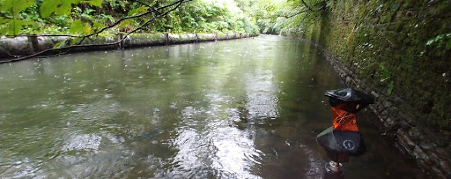 Glasbrook Field