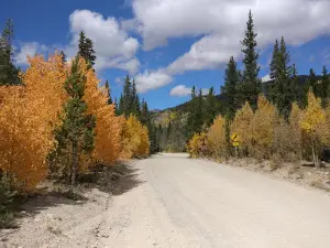 Lodgepole Campground
