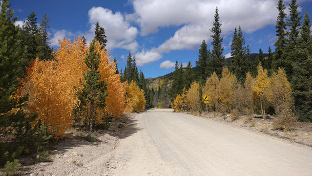 Lodgepole Campground
